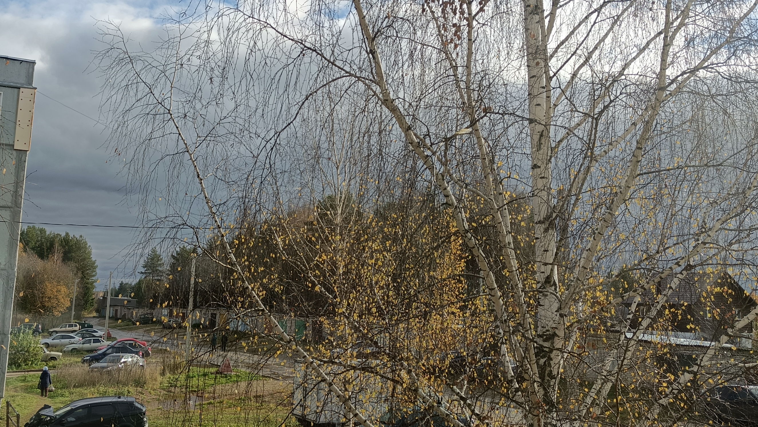 19-10-2025💥Влог💥воскресенье 📖комментарии