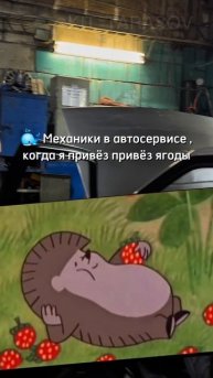 🐳 Механикам