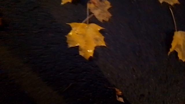 Тёплый вечер в октябре