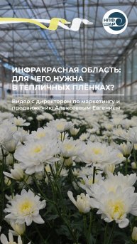 Инфракрасная область — ключ к теплоудержанию в теплицах 🌤️🌱