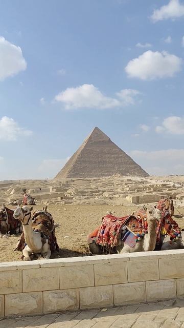 Pyramids, Cairo #culturalexperience #travel #egyptculture #egypt #cairo #pyramid #gizapyramid