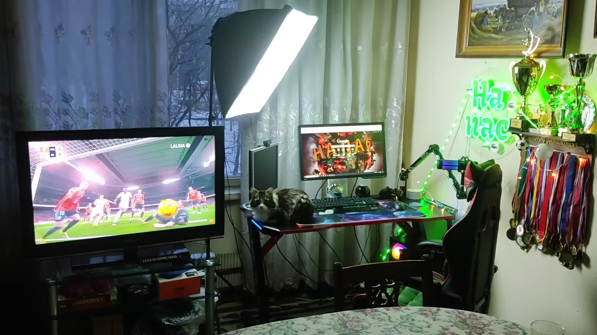 Сегодня много игр