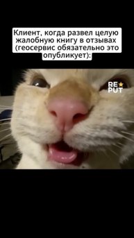 😈 Некоторые комментаторы получают настоящее удовольствие, оставляя негативные отзывы!