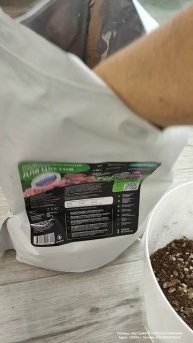 Мало кто знает что Антуриум пересаживают только так!