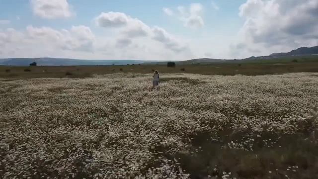 Инна Постникова-Ромашка.