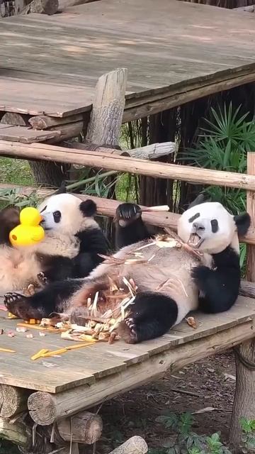 Видео от МЭН - Мне Это Нравится