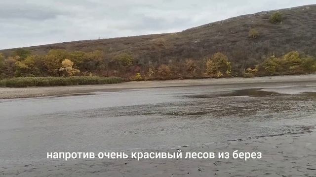 Перспективные места для рыбалки летом. Белый лес. Каменский район.