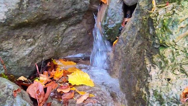 с.Поворотное