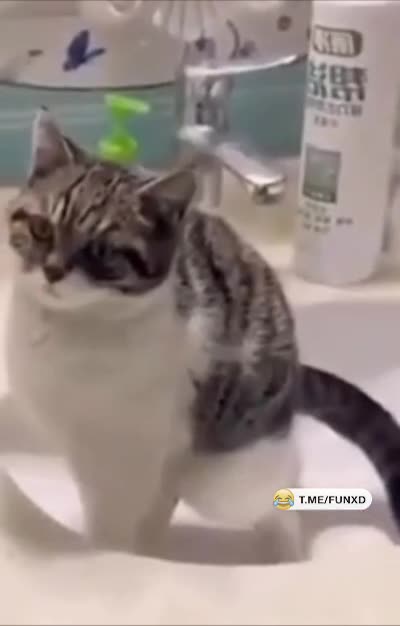 Сальто-какальто😄