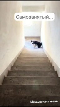 Секреты самозанятых. Кто такие самозанятые. Труд во благо и тайны налогообложения.