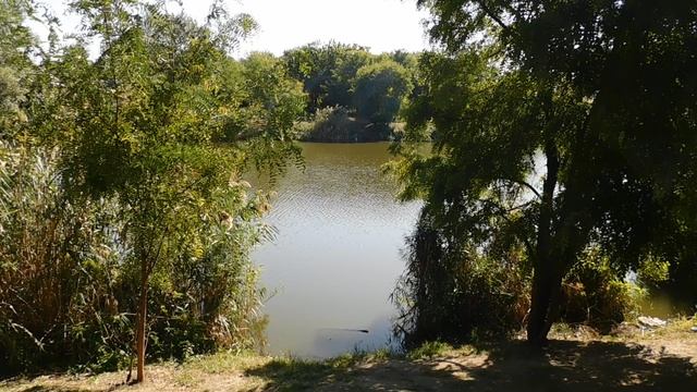 24=04=2025 ПРИРОДА кэн (10)