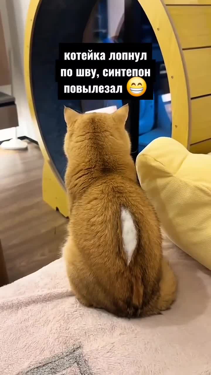 Что с нами будет после праздников 😻