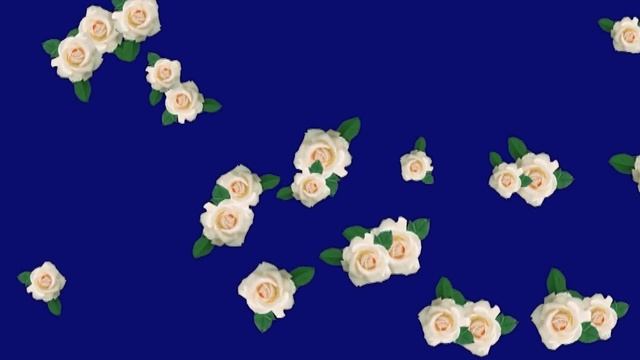 Летящие цветы