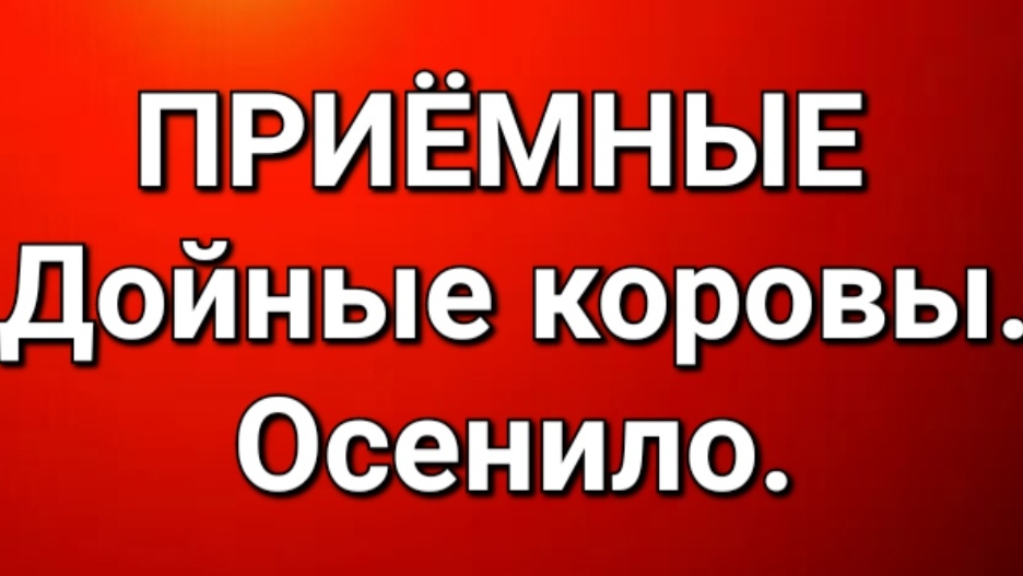 Приёмные/Обзор.