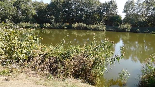 24=04=2025 ПРИРОДА кэн (12)