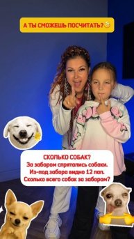 Ну что, сколько собак?🐕
