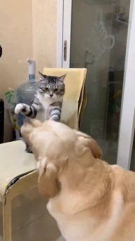 Отрабатываем удары