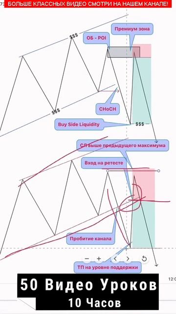 Обучение Трейдингу на Крипто: Заработок без Опыта