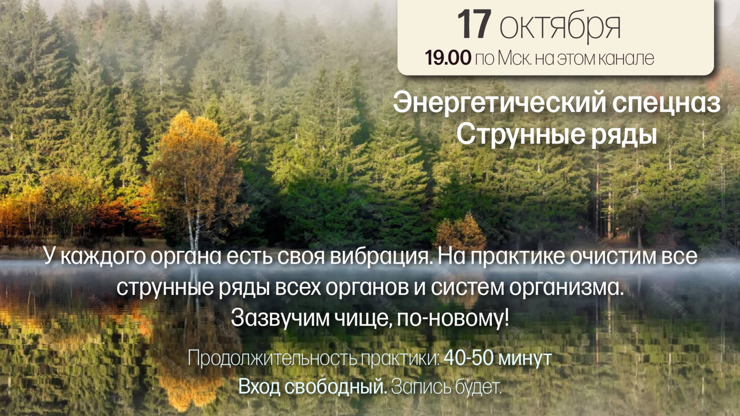 Струнные ряды практика