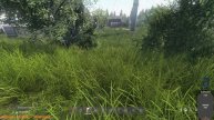 Dayz#17#Выживание