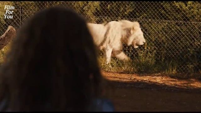 Миа и белый лев / Mia et le lion blanc, 2018