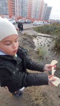 Уточек пойдём кормить?