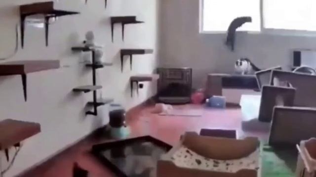 Как работает финансовый рынок