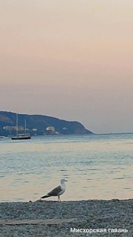 Ялта пляжи побережье рыбалка Крым Чёрное море 🍎 #searuss #мисхорскаягавань