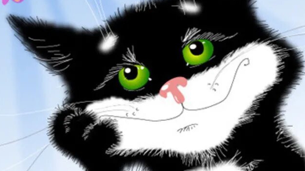 Сеанс релаксации у кошки.