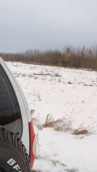 Коп в Сибири