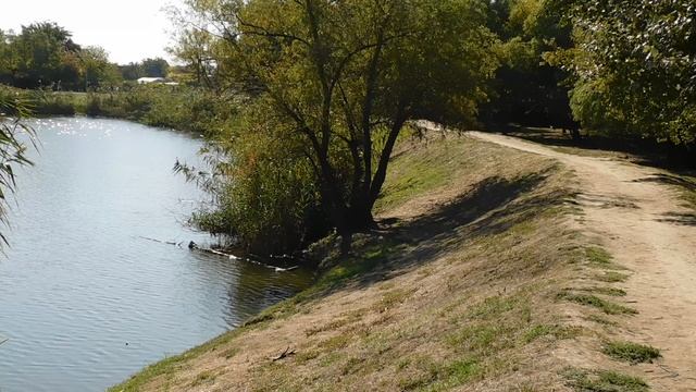 24=04=2025 ПРИРОДА кэн (9)