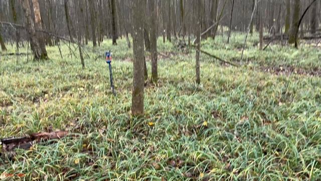 Искали хутор в лесу. Царские находки из леса