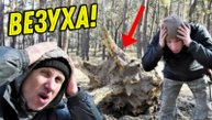 Ого НАХОДКА у Древнего ПНЯ, Давно так СМАЧНО не ФАРТИЛО на Копе в Старом Лесу!!!