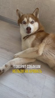 Всё им можно ☺️