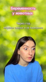 Беременность у животных