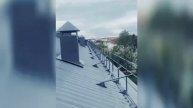 Video 2025-10-20