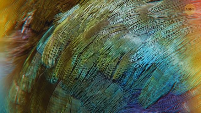 Последний динозавр, который, возможно, все еще жив, находится в Конго