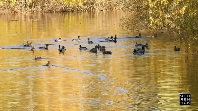 Центральный район. Итоги благоустройства 2025