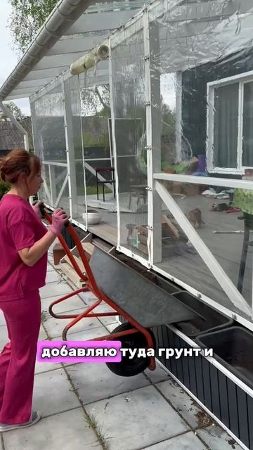 Тазоны + петунии = ♥️