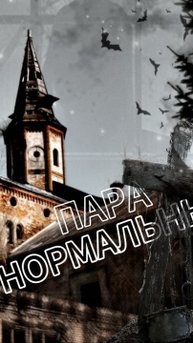 ПАРА НОРМАЛЬНЫЕ