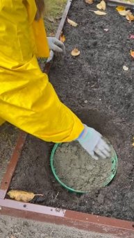 Посадка тюльпанов🌷