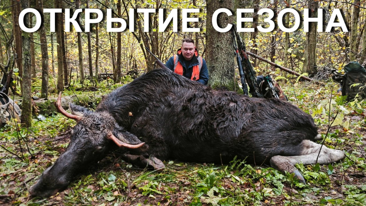 Охота НА ЛОСЯ. Открытие 2025