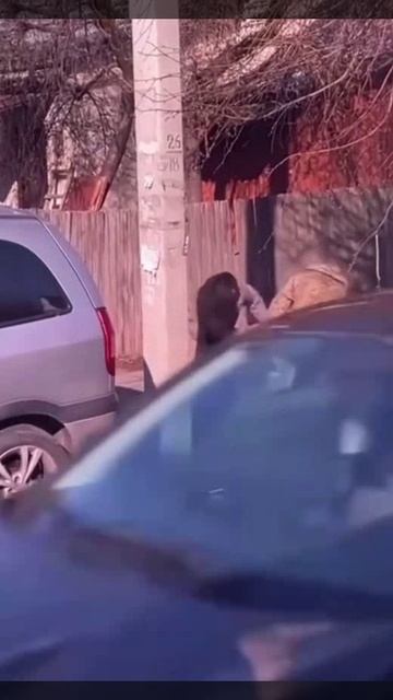 Хорошая мишень... Жирненькая.