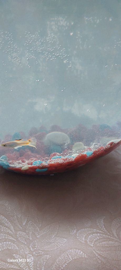 Рыбка Гуппи