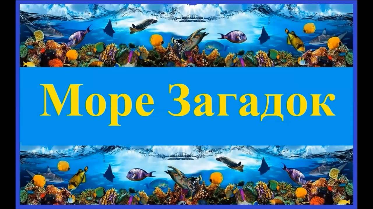 Видеовикторина "Море загадок"