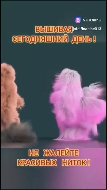 Раскрасьте ваш день