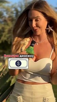 Что привезти в подарок персоналу отеля в Египте