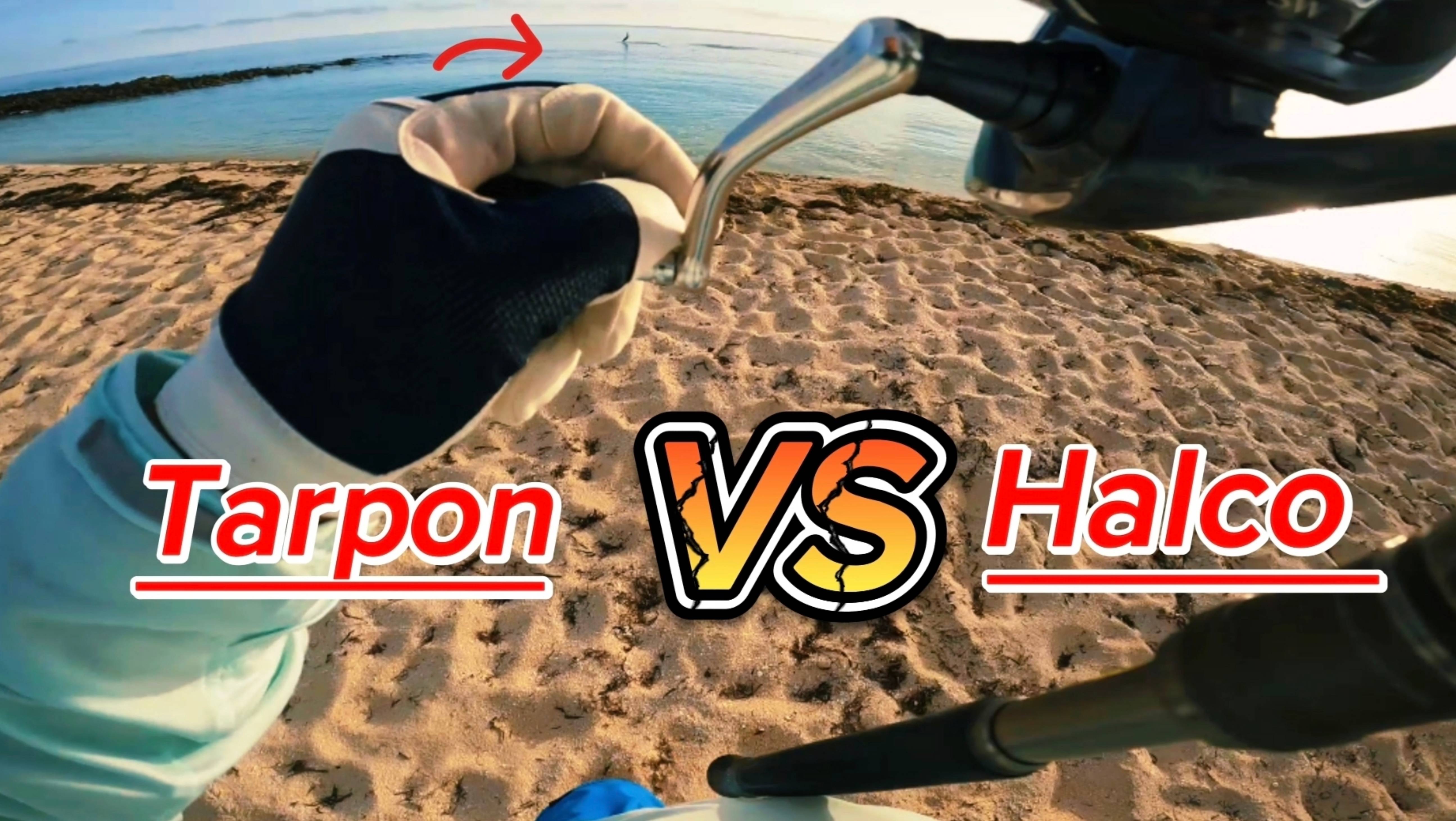Тарпон против Halco