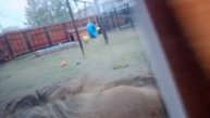 ORPT8722 Шархан Посмотри папа какой у меня подиум и пойдем погуляем вдоль забора с окнами 21.10.2025