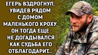Егерь увидел рядом с домом маленького кроху. Он тогда еще не догадывался…
